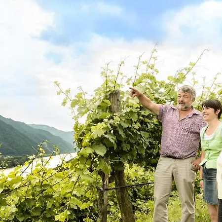 Apartment Weingut Und Ferienwohnung Pomassl Weissenkirchen in der Wachau